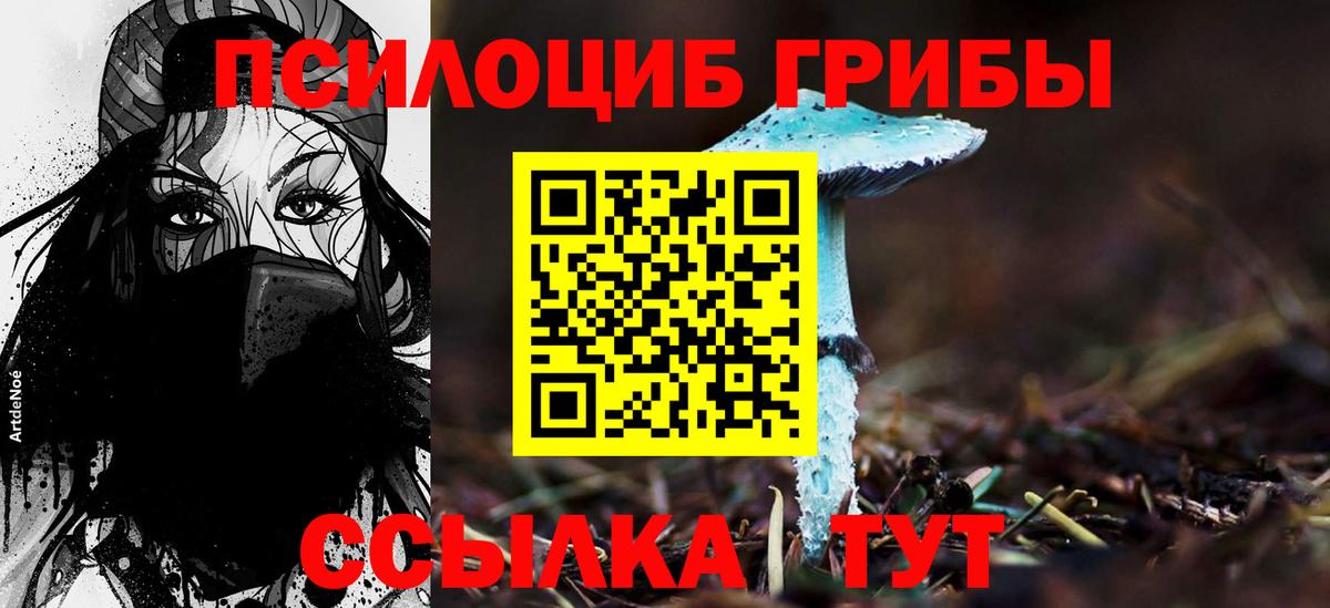 Псилоцибиновые грибы мицелий  Вход с VPN  где продают   Похвистнево 